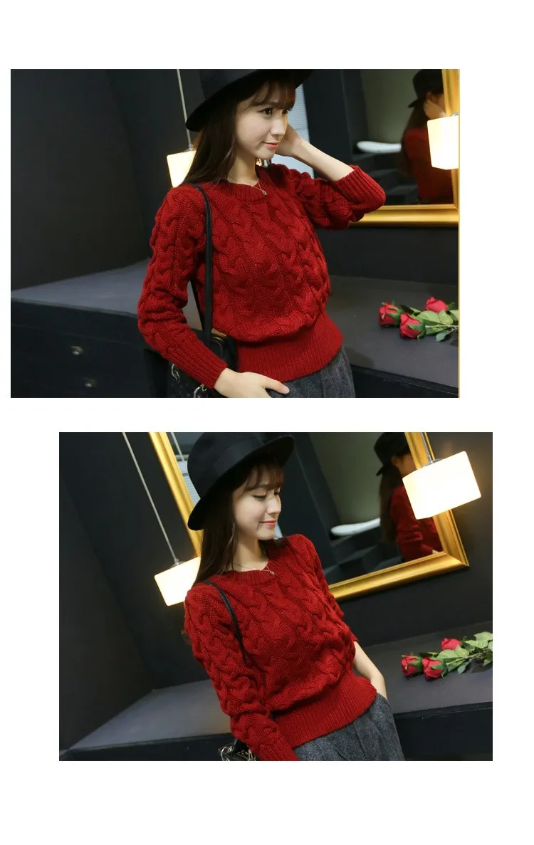Retro Style Thick Line O-Neck Pullover Short Sweater Women Girl Spring 2016 (10)