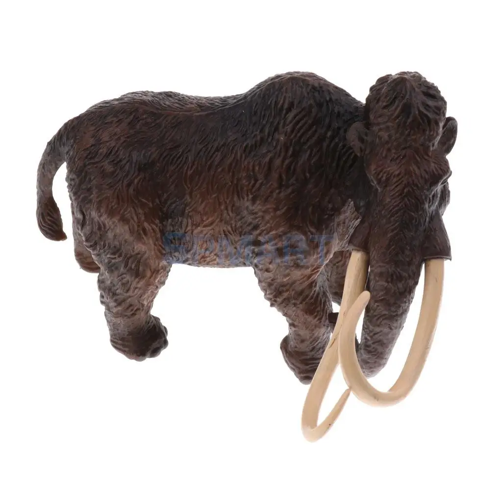 Simulation Wildlife Farm Pet Animal Model Action Figures Figurine Kid Educational Science Nature Toy Home Collectible Decoration