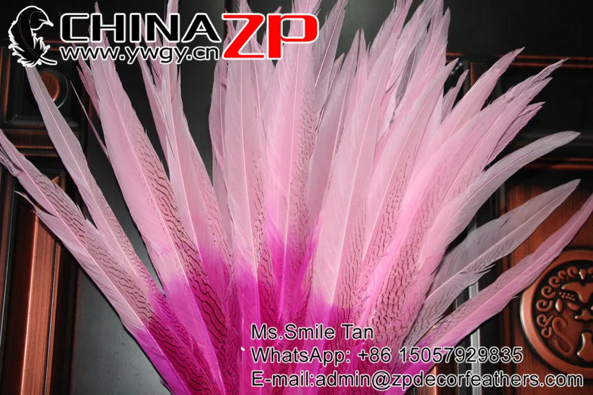 65-70cm silver pheasant feathers Ombre color Pink wholesale Carnvial showing   (3)