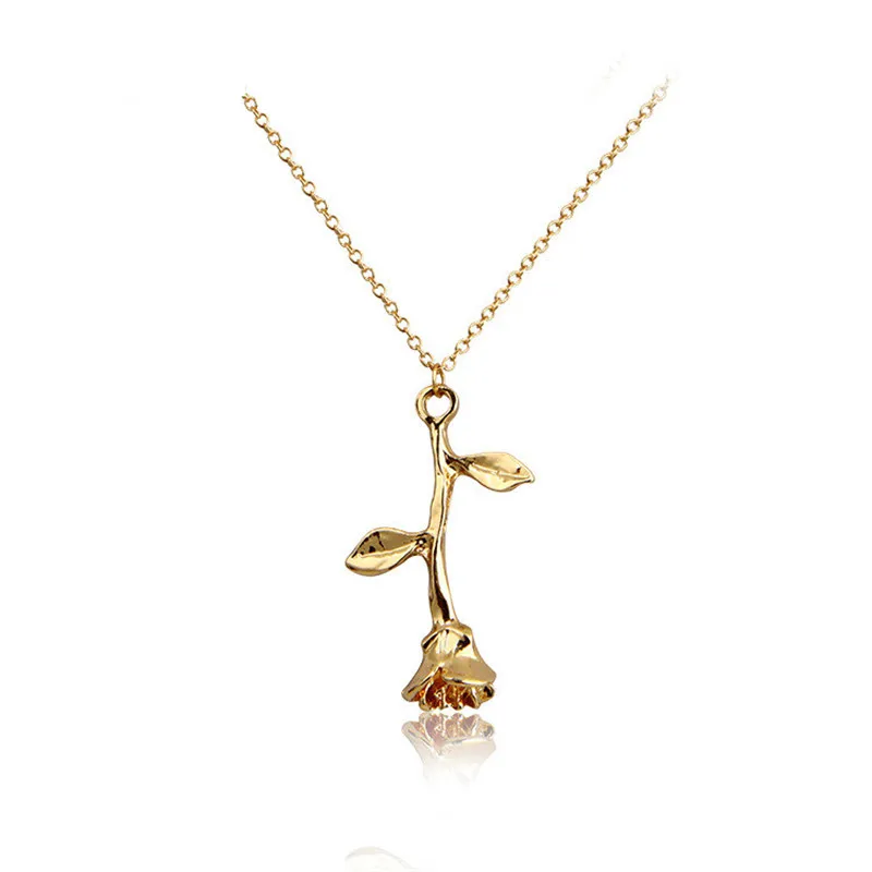 7682021951_204193426