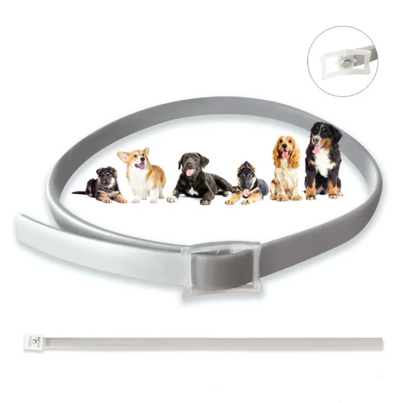 dog repellent essential oil