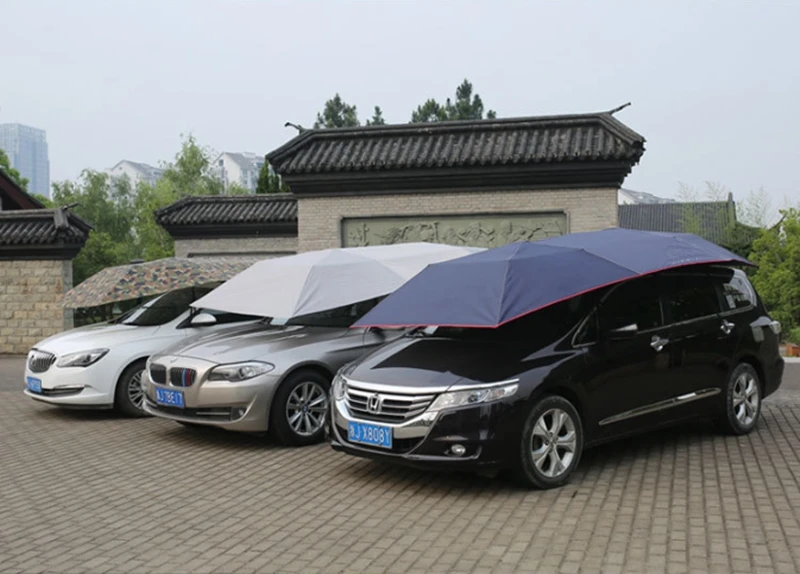 13_wps图片