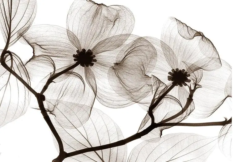 Black White Flower 3d Abstract Photo Mural Wallcoverings Wallpapers Murals Wall Paper Roll Bedroom Wall Decor Custom Any Size Wallcovering Wallpaper Photo Murals Wallcoveringsphoto Murals Aliexpress Here are only the best white abstract wallpapers. black white flower 3d abstract photo
