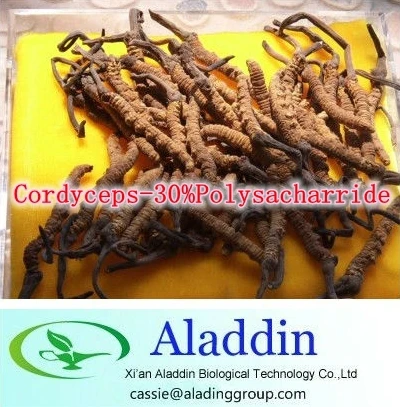 

Hot sale! 3Bottle Cordyceps-30%Polysacharride 500mg x 270caps free shipping