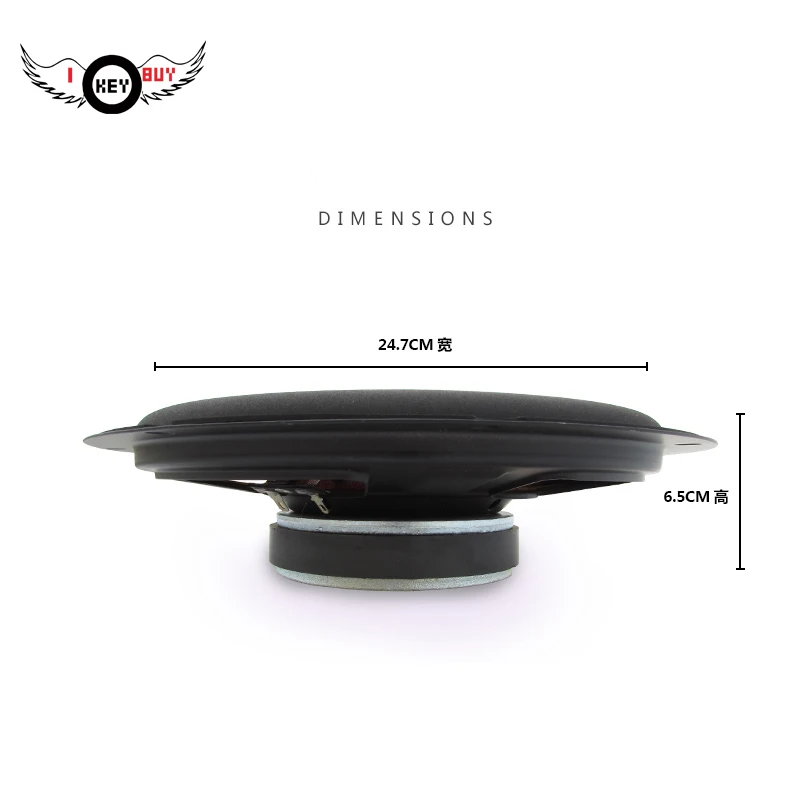 10 Inch Bass Speakers (2)