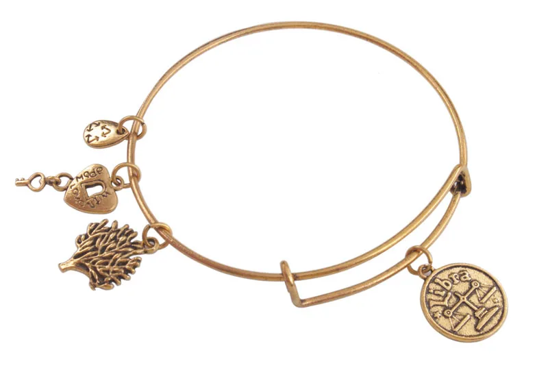 

Whole Sales 6pcs Fashion Antiqued Gold Color Expandable Wire Bangle zodiac sign Charm Bracelet