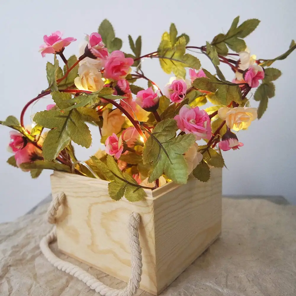 6106EeUvo8L._SL1000_