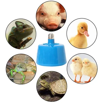 

New Pets Farm Animal Livestock Piglets Chickens Heat Warm Lamp Keep Warming Bulb 220V 100-300W