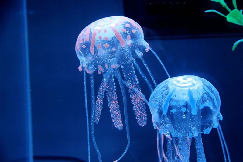 Медуза цена лайф. Аквариум с медузами. Аквариумные медузы. Медуза в аквариуме искусственная. Пресноводные медузы для аквариума.