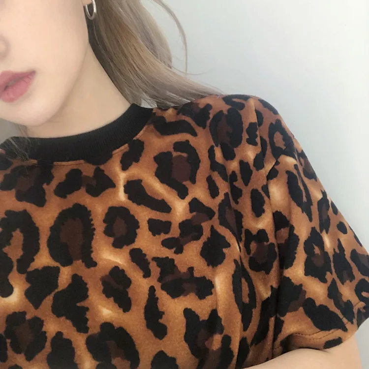 36020180308141639032 -  -  -  -  - __ - 