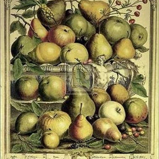 Fruits of the Season - Spring Poster Print by Robert Furber (8 x 10)