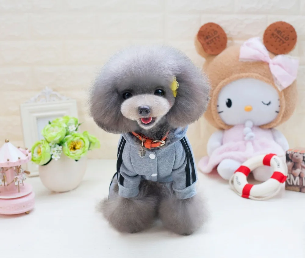 Y73_New_Pet_Cat_Dog_Costume_Clothes_Cartoon_Bear_Puppy_dog_4_Legs_Jumpsuits_Autumn_Pet_Hoodie_Rompers_Coat_Clothing_ (22)