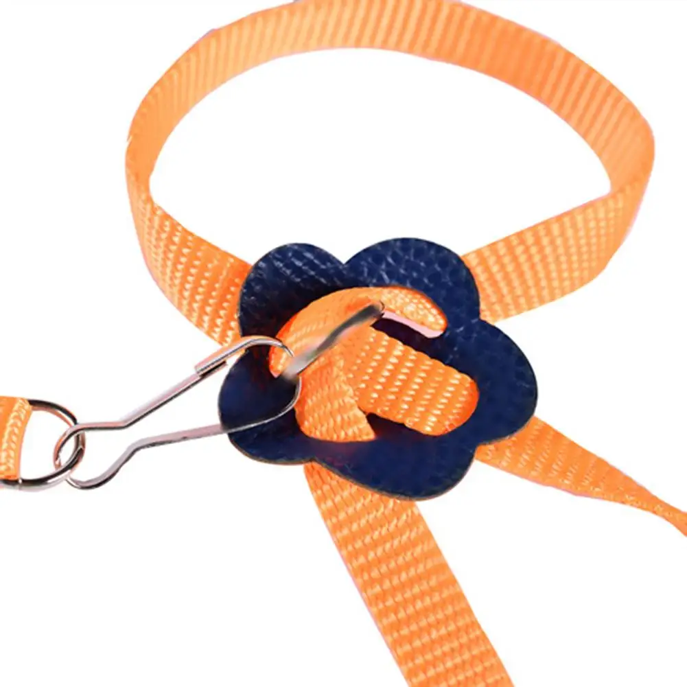 Bird Harness Adjustable Traction Strap Harness Leash For Bird Parrot Bird Outdoor Traveling Safe Accessories Random Color New