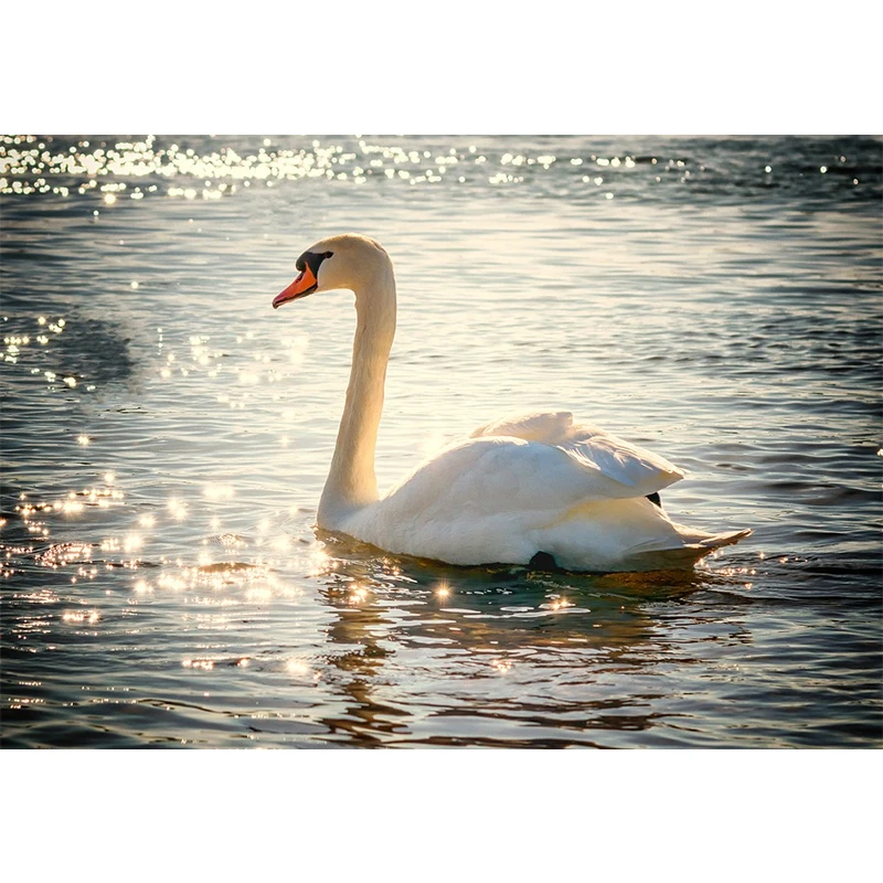 5D White Swan Diamond Embroidery Mosaic Crystal Cross Stitch Painting DIY Wall Sticker Decoration Paintings | Дом и сад