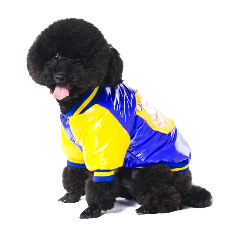 5 dogs pets clothing 