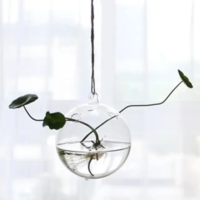 AsyPets Hanging Transparent Glass Globe Plant Terrariums Succulents Moss Miniature Garden Planters Home Decor Gifts-30