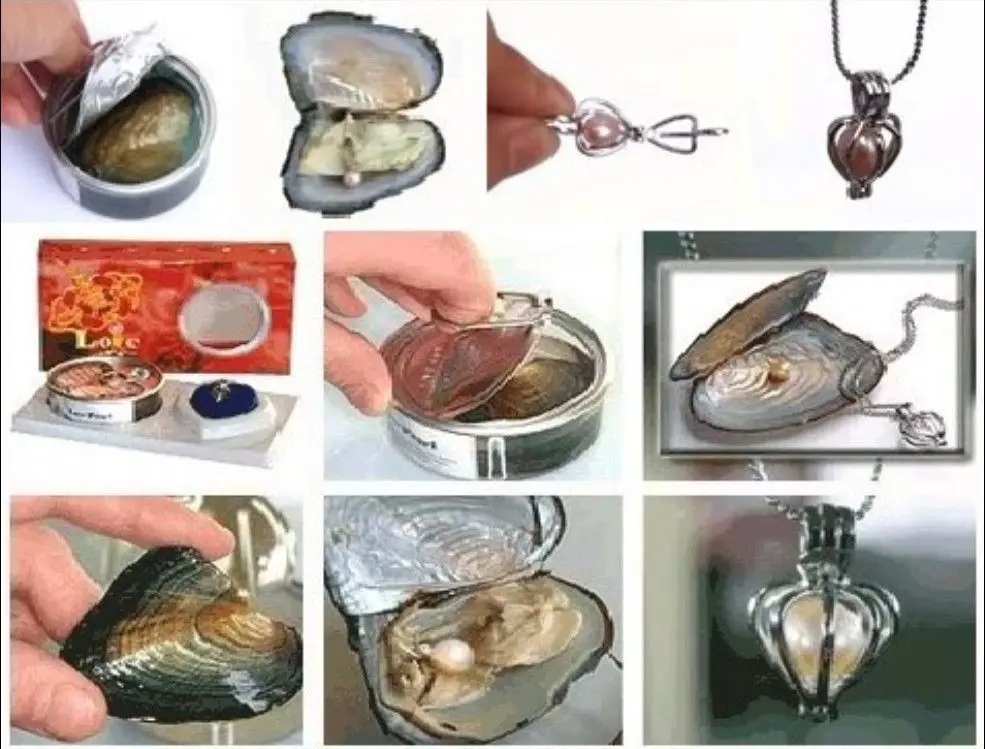 

10 Set Love Wish Pearl Necklace Set Oyster Drop Pendant