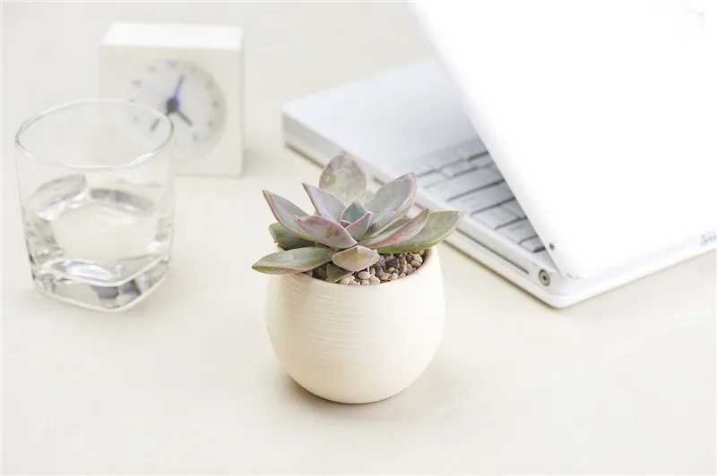 HTB1dajMPVXXXXbFXFXXq6xXFXXXH