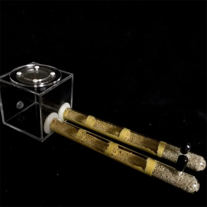 Ants new Fortress formicarium acrylic ant nest for ant farm (5)