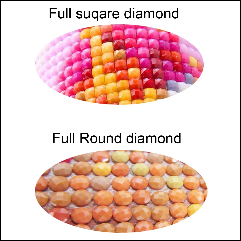 HTB1EPoMacfrK1RkSmLyq6xGApXaH