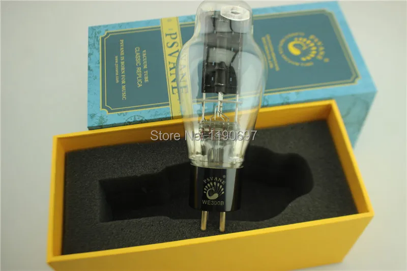  WE300B (4)