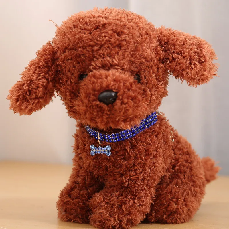 9290881706_1133806796.800x800