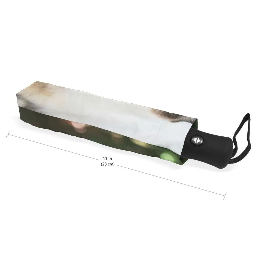 g3059937p127c141s212_6