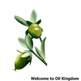 Beli 100% pure tanaman dasar minyak jojoba minyak perawatan kulit air kunci pelembab pori pori unclog australia minyak pijat pengobatan jerawat