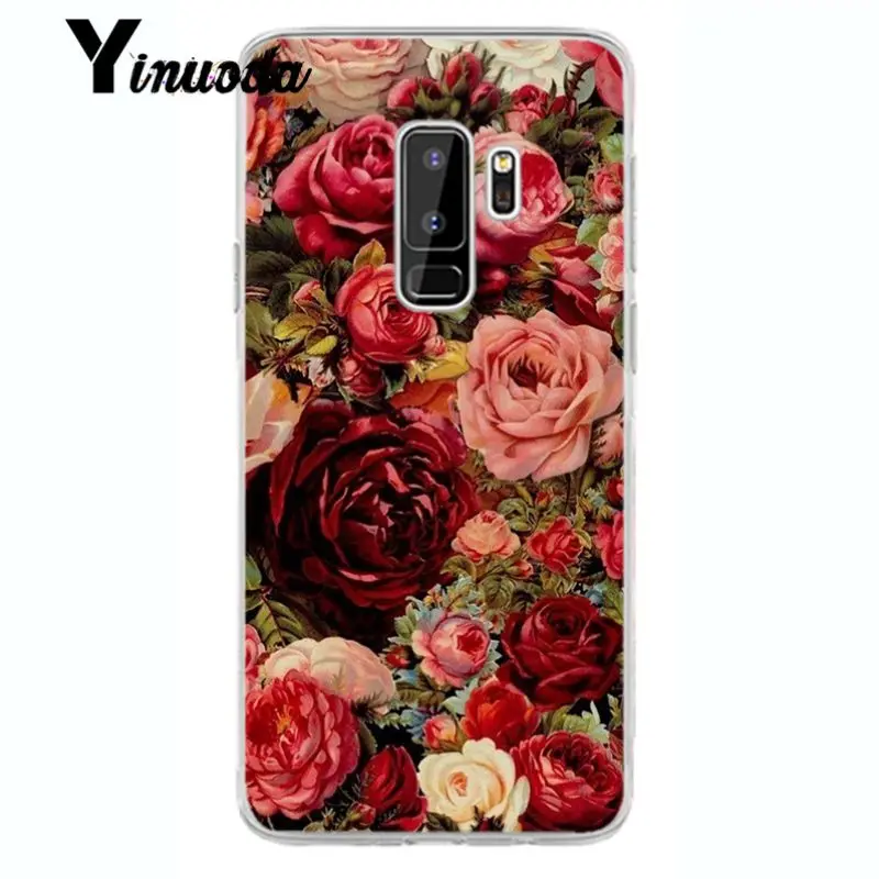 Flower Cherry Tree Candy Colors Leaves 