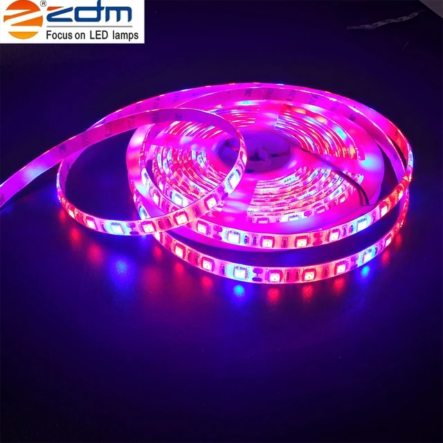 5m Waterproof 72w 300pcs Plant Light Strip Led Grow Lights Growing 5m Waterproof 72w 300pcs Plant Light Strip Led Grow Lights Growing 5050 Ip65