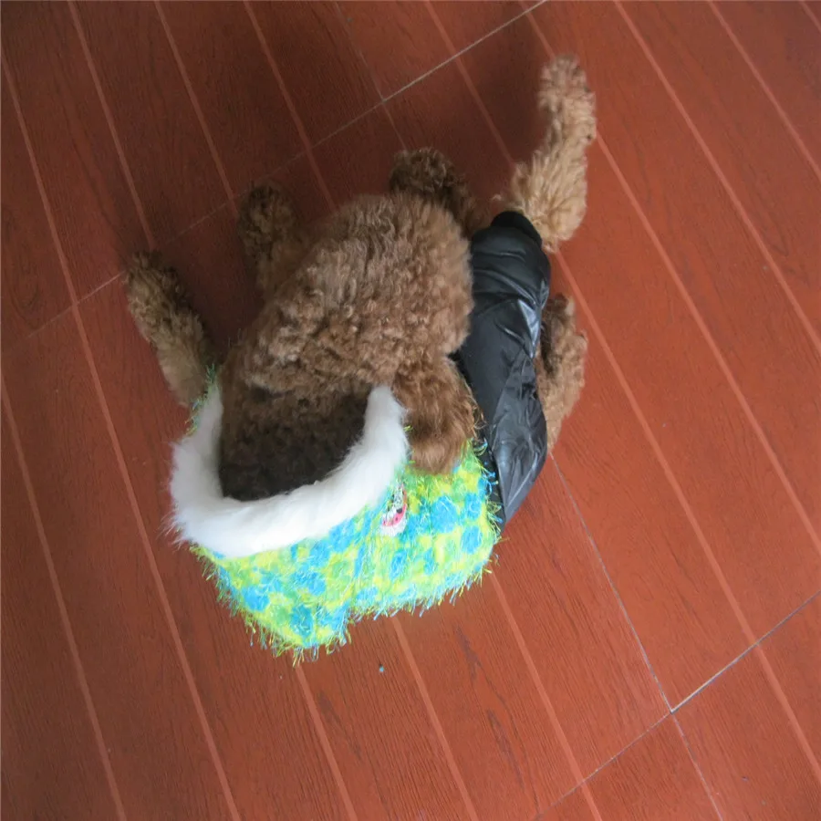 Модное зимнее пальто для собак костюм для животного комбинезон для девочек и мальчиков Одежда для Чихуахуа Тедди собаки Костюм для