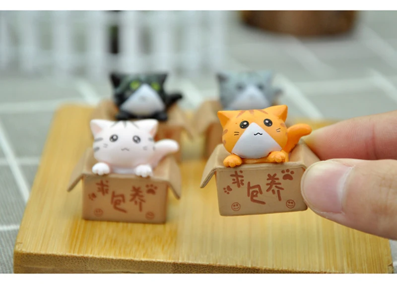 10588078450_360938011