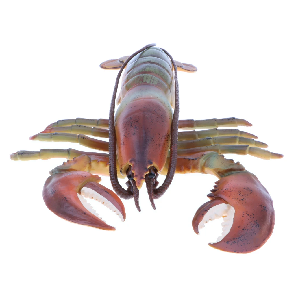 9 Inch Realistic Marine Animal Model Figurines, Plastic Lobster Action Figure Toy for Kids, Science Educational Toy, Collection