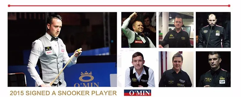 basic-snooker-cue_19
