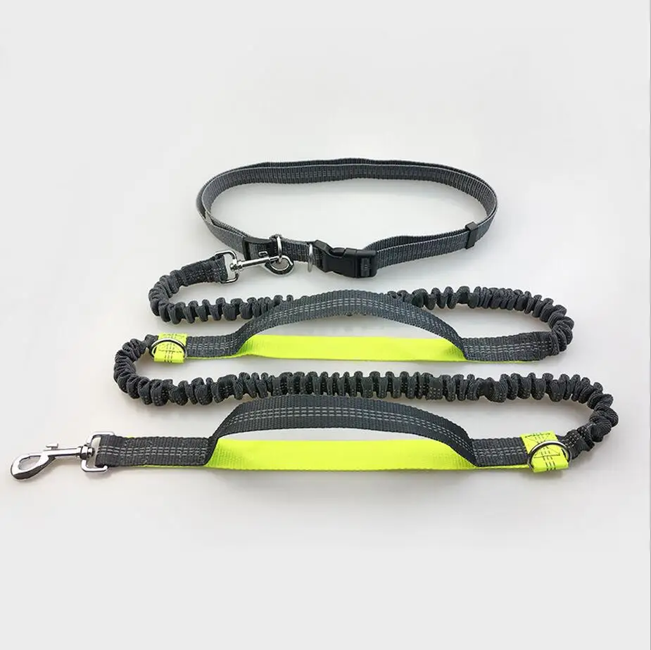 

New Multi-Functional Dog Leash Retrackable Reflective Double Elasticity 4 Color Padded Waist Quality