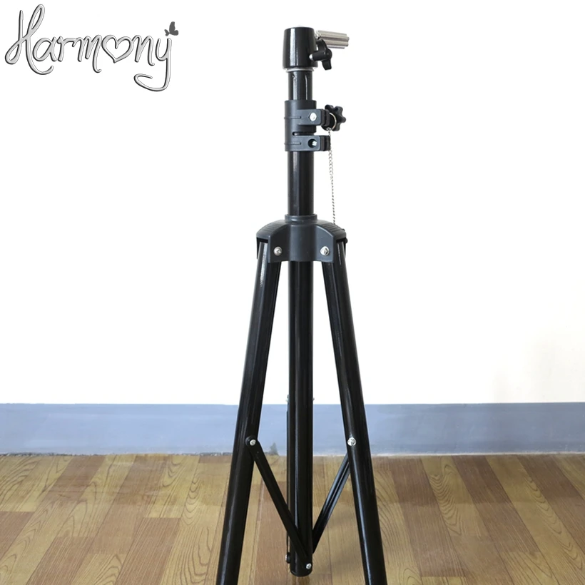 wig stand (1)