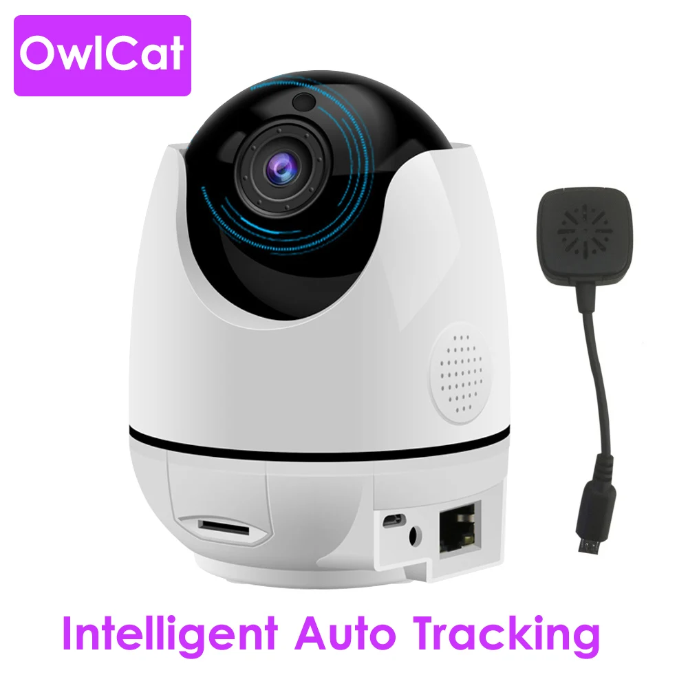 

Wireless Smart Intelligent Human Body Auto Tracking Dome IP Camera WiFi Temperature Humidity Display Two Way Audio Talk SD Card