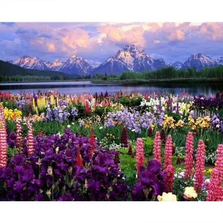 cioioil-W639 Mountain flower sea DIY Painting By Numbers Wall Art Acrylic Paintings Handpainted Home Decor For Living Room