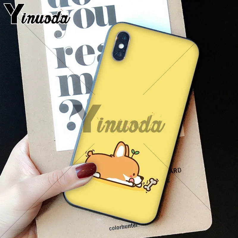 cute Corgi dog