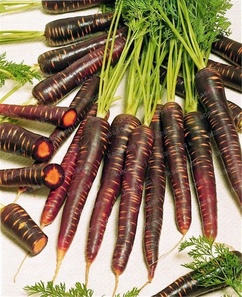 200 Pcs Multi Color Carrot Bonsai Healthy Fresh Vegetable Fruit Plants Good for Cooking, Heirloom Home Garden Plant