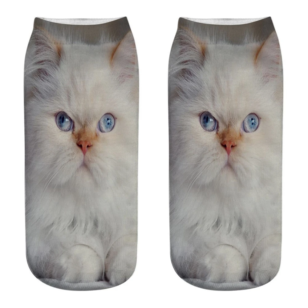 9341598270_520631427