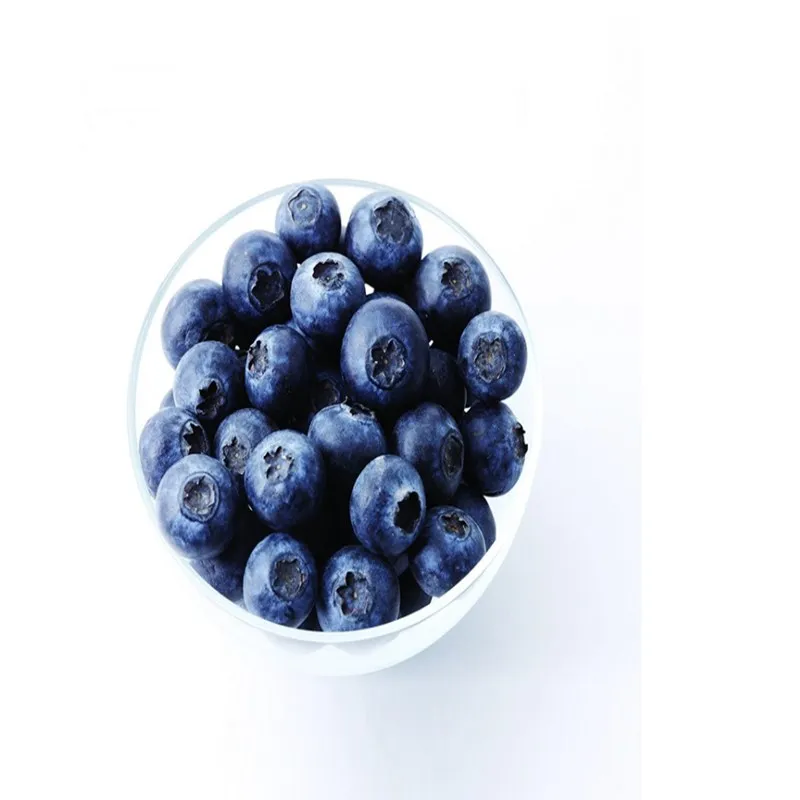 natural drinks anthocyanin blueberry extract powder prevent Brain aging,anti cancer with the function of enhancing immunity