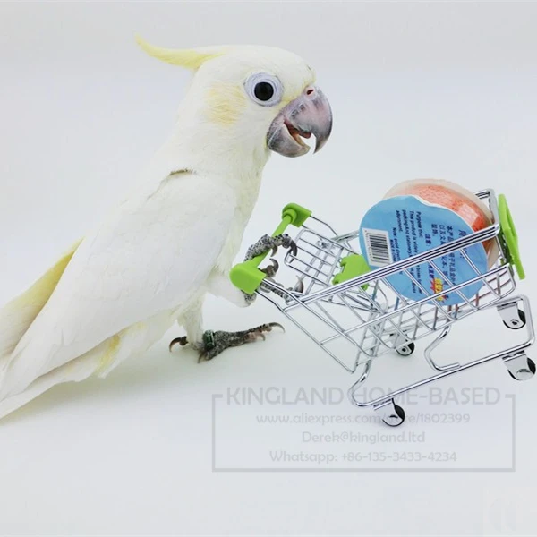 Mini Supermarket Handcart Shopping Utility Cart Mode Storage Toy New