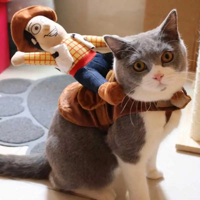Funny Modelling Of The Cowboys Sheriff Woody Pet Cat Dress