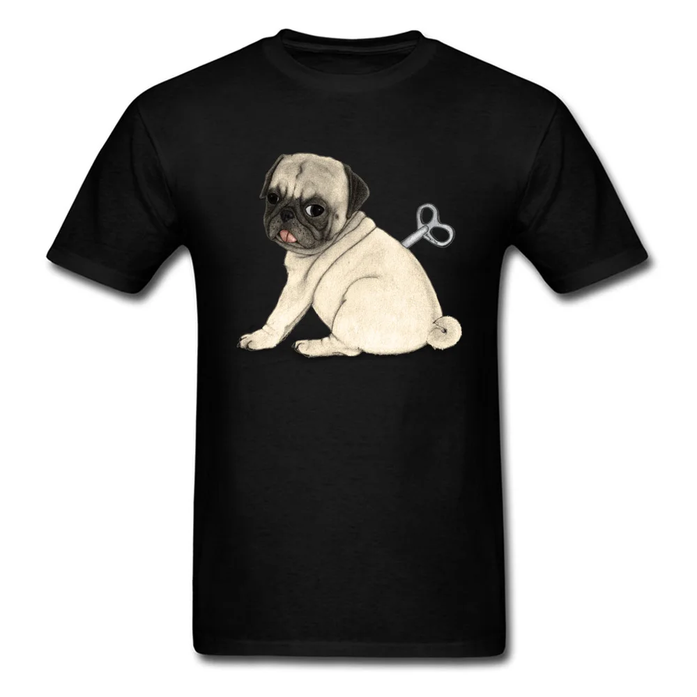 Toy Dog; Pug_black