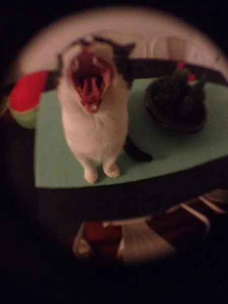 UT8jp9xXJFaXXagOFbXs