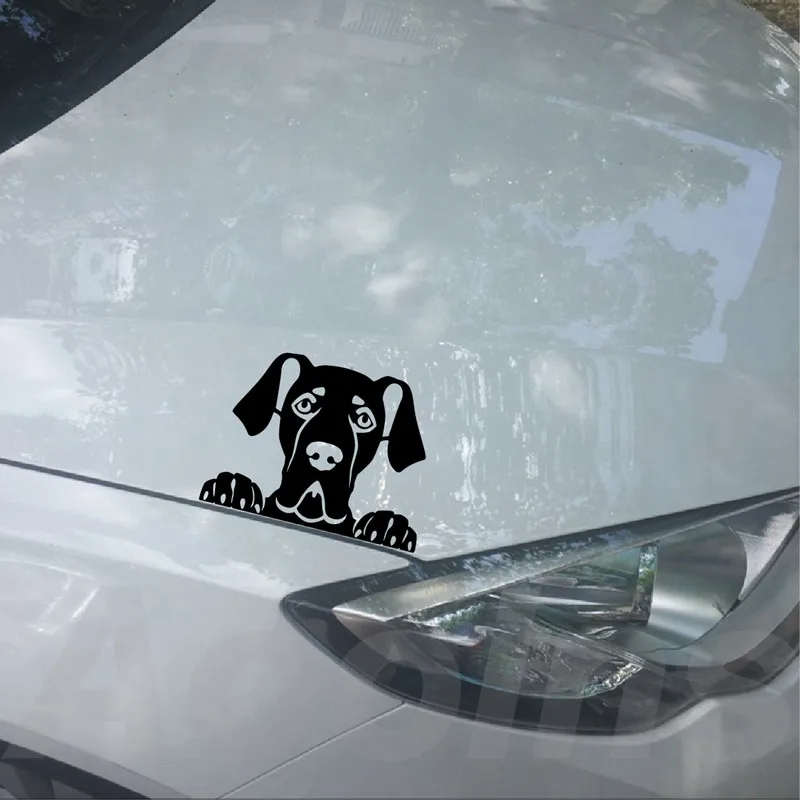 Peeking Great Dane наклейка персонализированные виниловые наклейки для автомобиля, Pet Dog Great Dane силуэт съемные наклейки окна автомобиля украшение для ноутбука