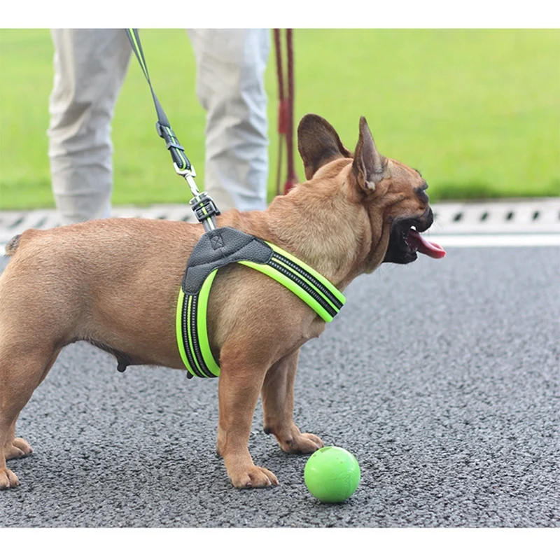 

2019 Nylon Heavy Duty Dog Pet Harness Collar Padded Extra Big Large Medium Small Dog Harnesses vest Husky Dogs Supplies