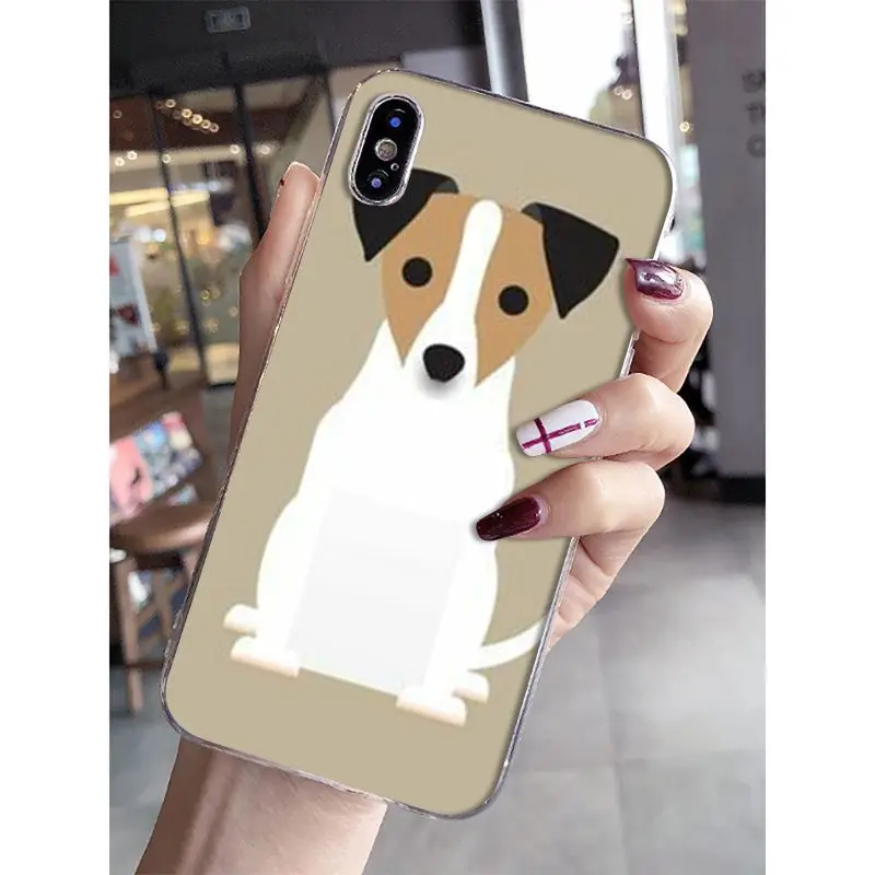 Jack Russell Terrier Dog