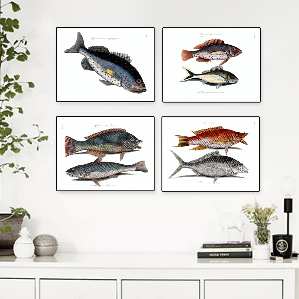 Fishing prints vintage / antique color drawing fish unframed set of 4 Fishing Decor, Fishing Art, Fisherman Gift, Nautical Art